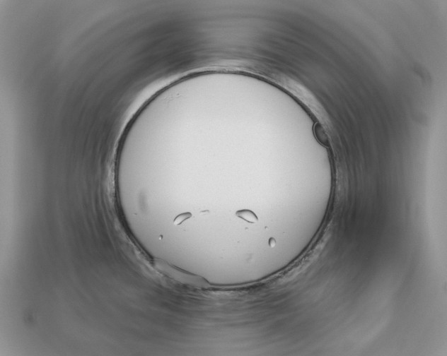 X0000112941436200909211125
