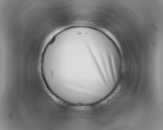 X0000112941437200909211125