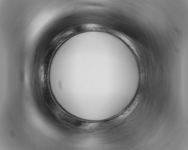 X0000112941438200909211125