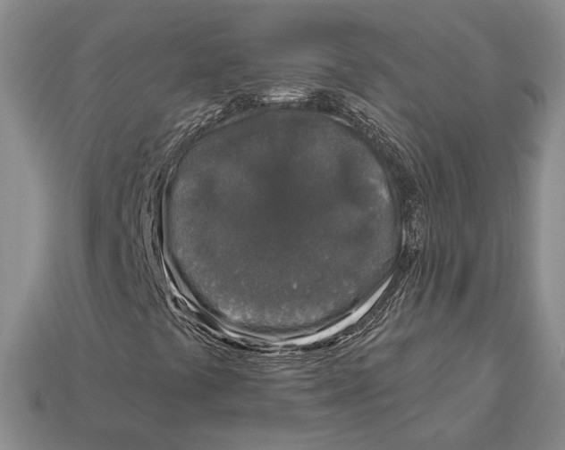 X0000112941441200909211124