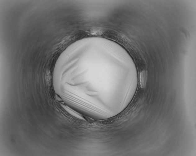 X0000112941443200909211124