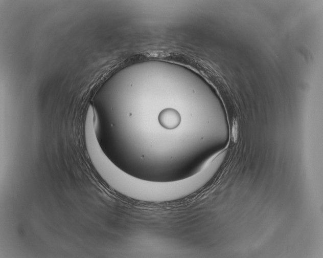 X0000112941444200909211124