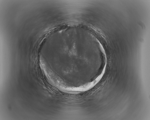 X0000112941445200909211124