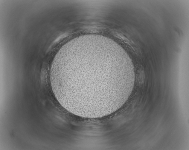 X0000112941446200909211124