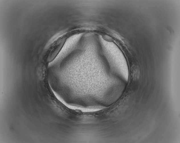 X0000112941448200909211124