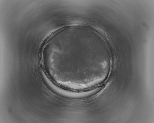 X0000112941449200909211124