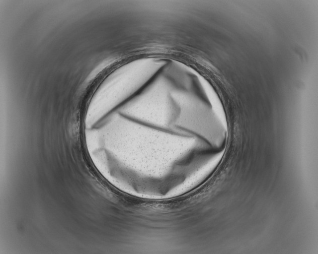 X0000112941450200909211124