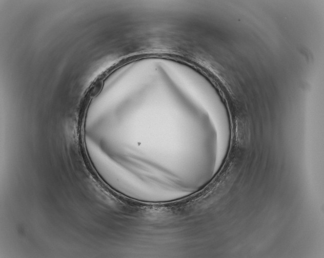 X0000112941452200909211124