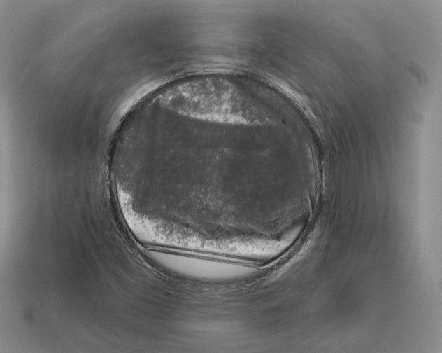 X0000112941453200909211124