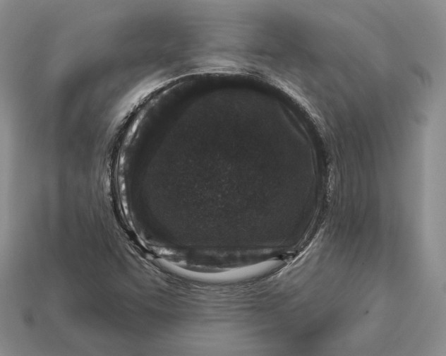 X0000112941455200909211124