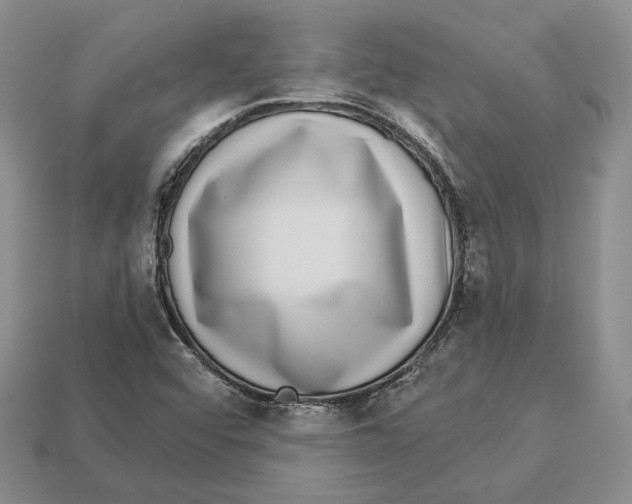 X0000112941456200909211124