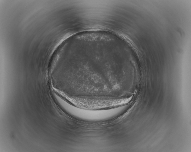 X0000112941457200909211124