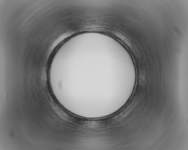 X0000112941458200909211124