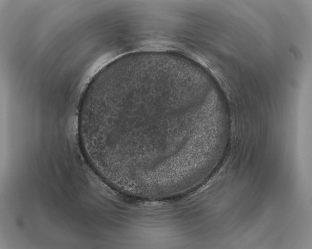 X0000112941459200909211124