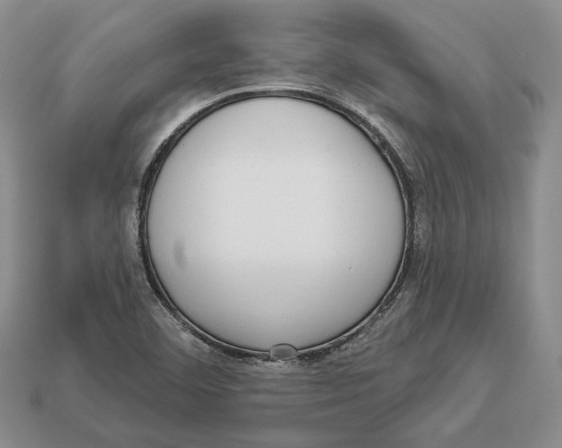 X0000112941460200909211124