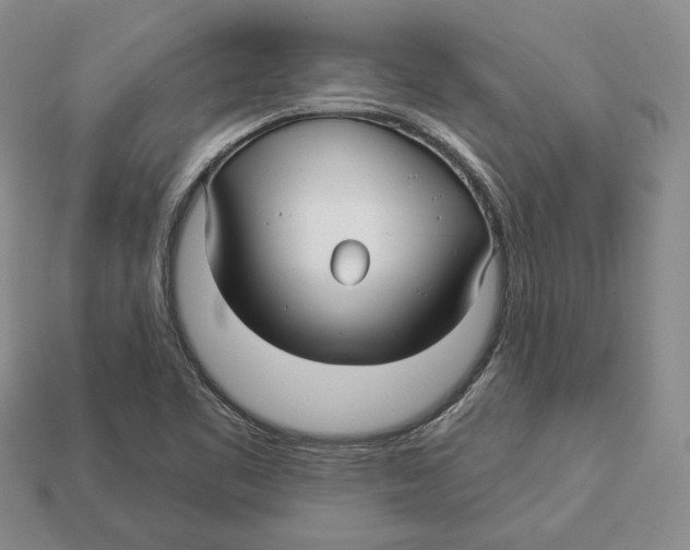 X0000112941461200909211124
