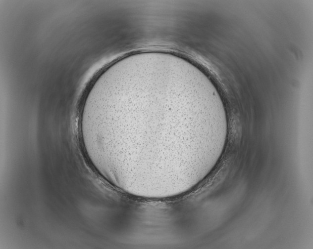 X0000112941462200909211124