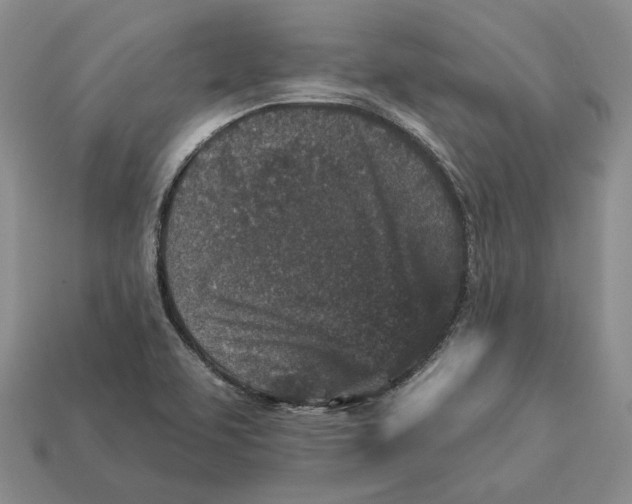 X0000112941463200909211124