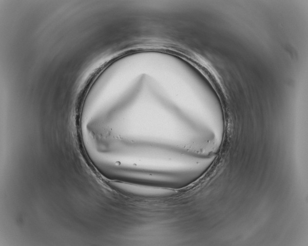 X0000112941464200909211124