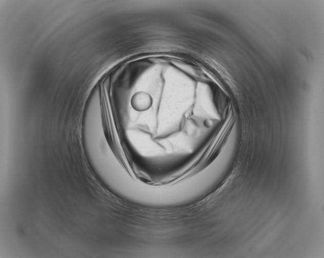 X0000112941465200909211124