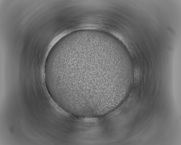 X0000112941466200909211124