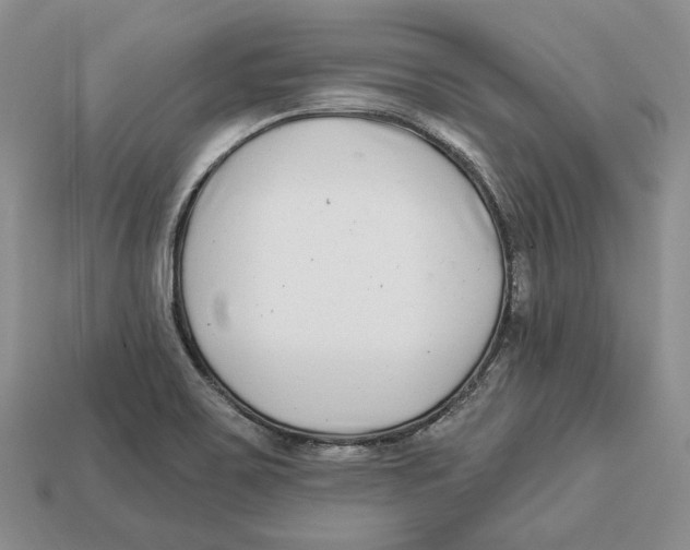 X0000112941467200909211124