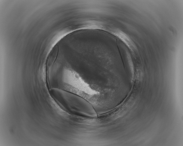 X0000112941468200909211124