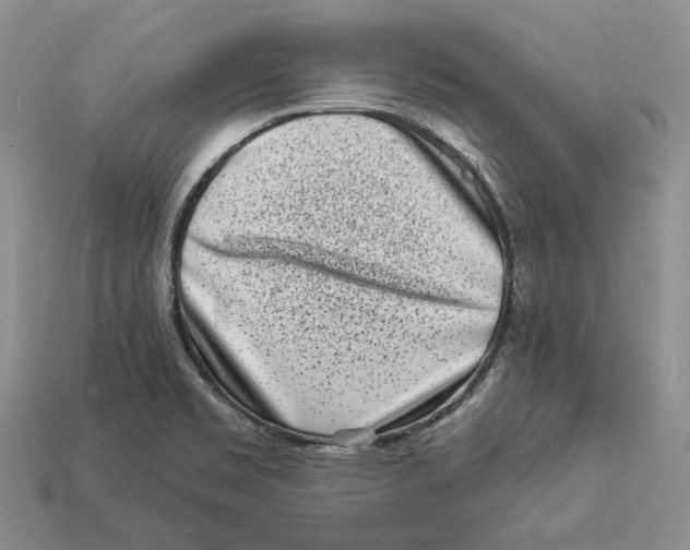 X0000112941469200909211124