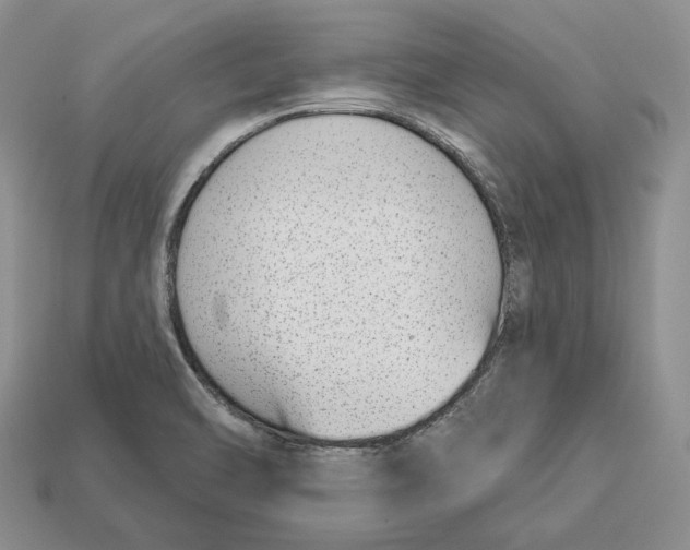 X0000112941470200909211124