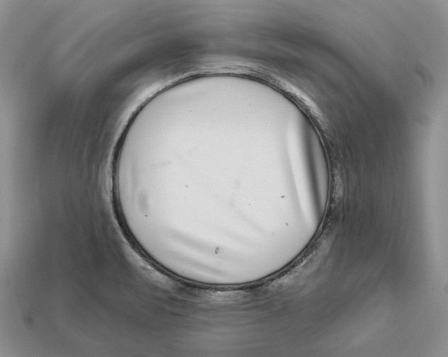 X0000112941471200909211124