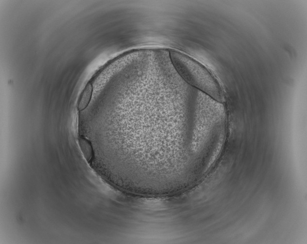 X0000112941472200909211124