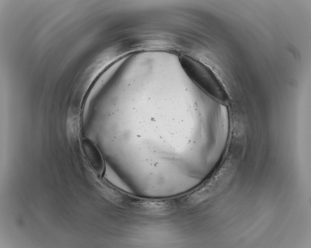 X0000112941473200909211123