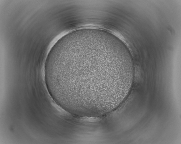 X0000112941474200909211123