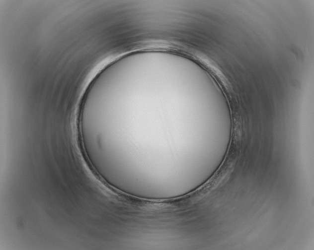 X0000112941475200909211123