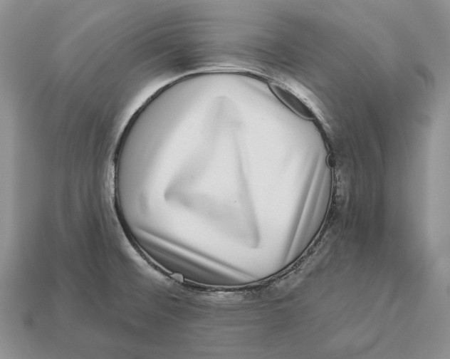 X0000112941476200909211123