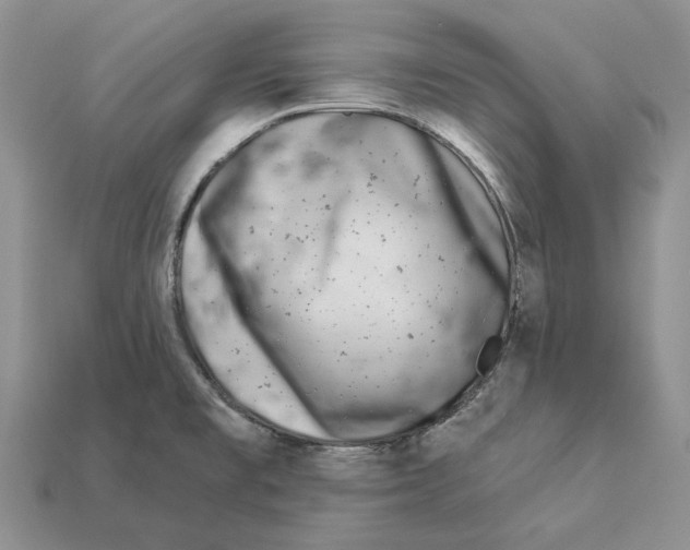 X0000112941477200909211123