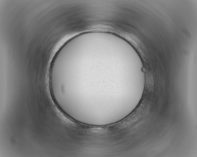 X0000112941478200909211123