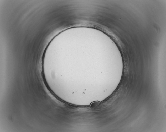 X0000112941479200909211123
