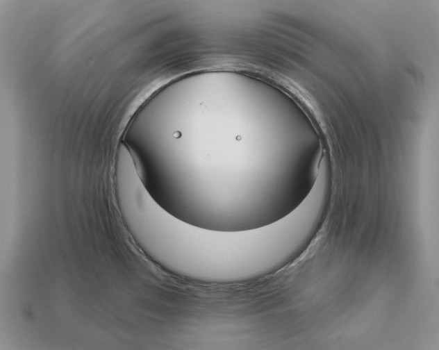 X0000112941481200909211123