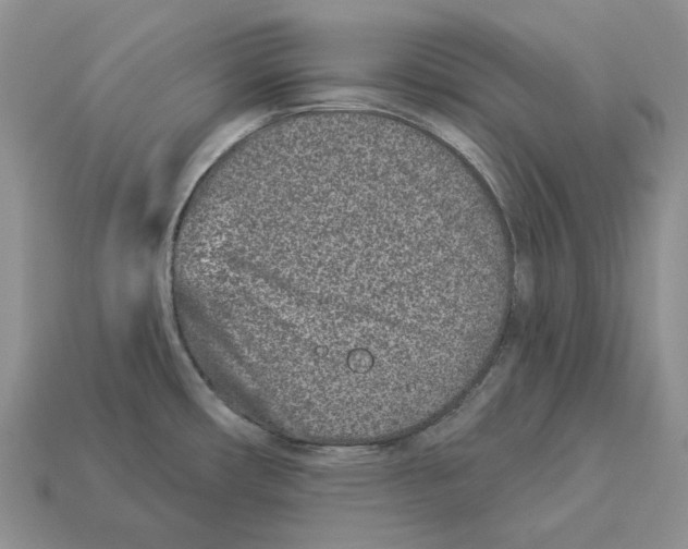 X0000112941482200909211123