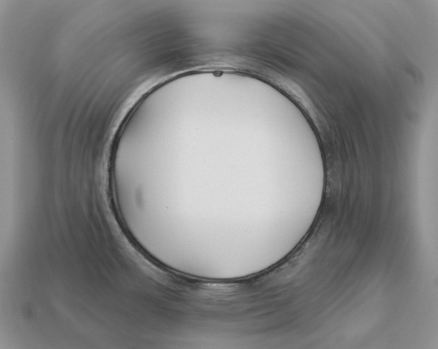 X0000112941483200909211123