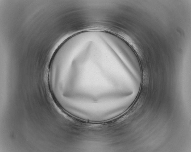 X0000112941484200909211123