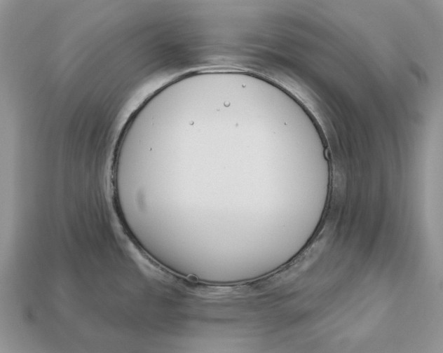 X0000112941485200909211123