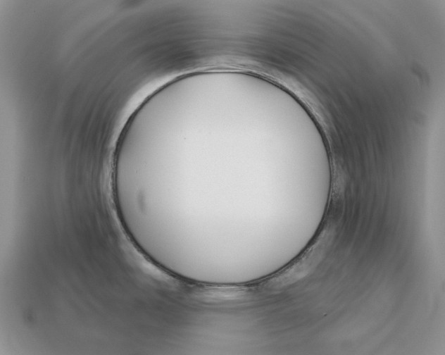 X0000112941486200909211123