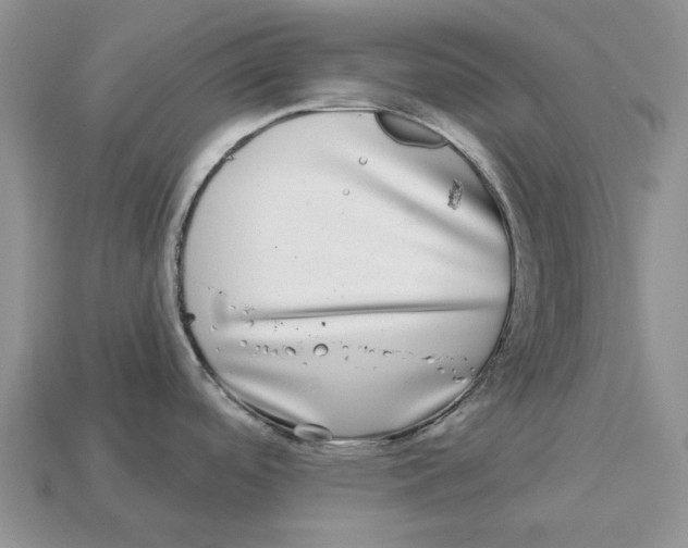 X0000112941488200909211123