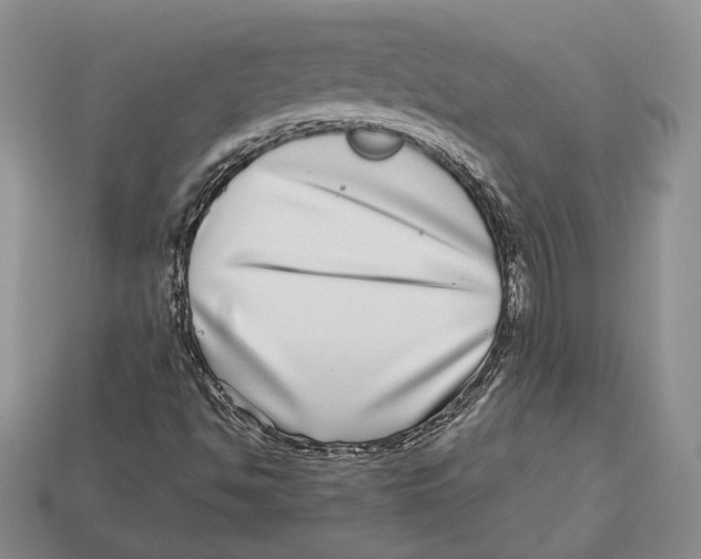 X0000112941494200909211123
