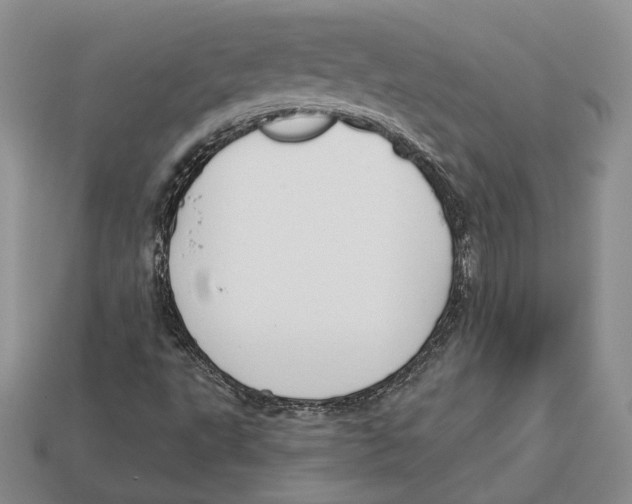 X0000112941495200909211123