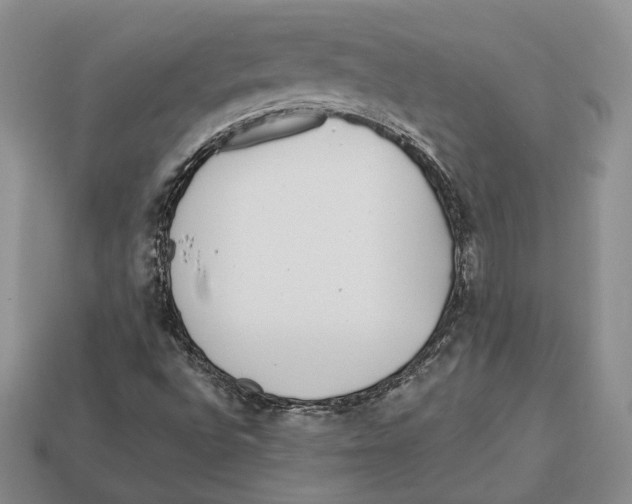 X0000112941496200909211123