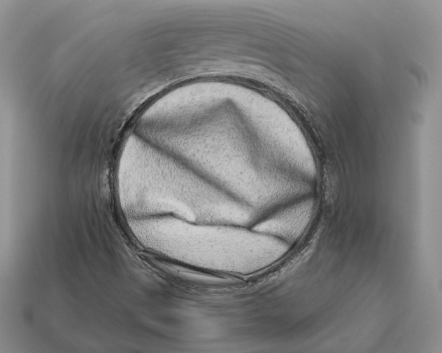 X0000112941497200909211123