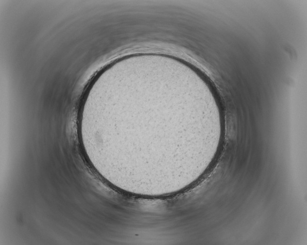 X0000112941498200909211123